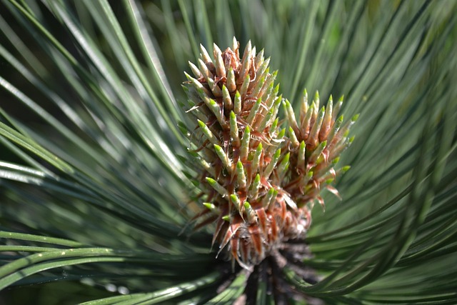 automated savings transfers illustration